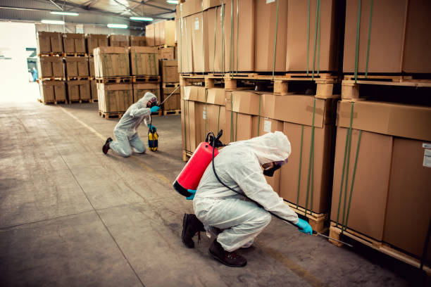 Best Affordable Pest Control Services  in Garfield Heights, OH