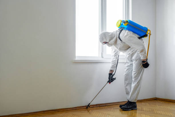 Best Best Pest Control Companies  in Garfield Heights, OH