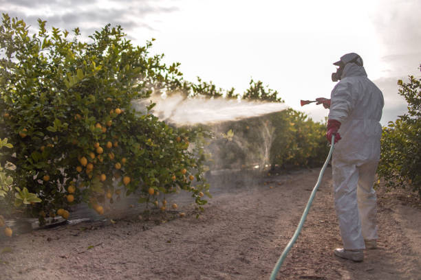 Best Wasp Removal Services  in Garfield Heights, OH