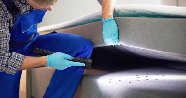 Best Cockroach Control Services  in Garfield Heights, OH