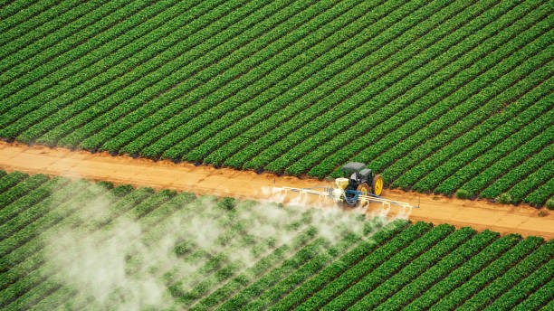 Best Commercial Pest Control Services  in Garfield Heights, OH