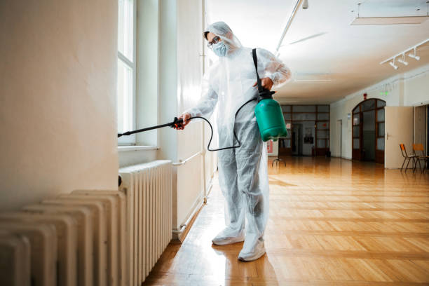 Best Rat Extermination Near Me  in Garfield Heights, OH