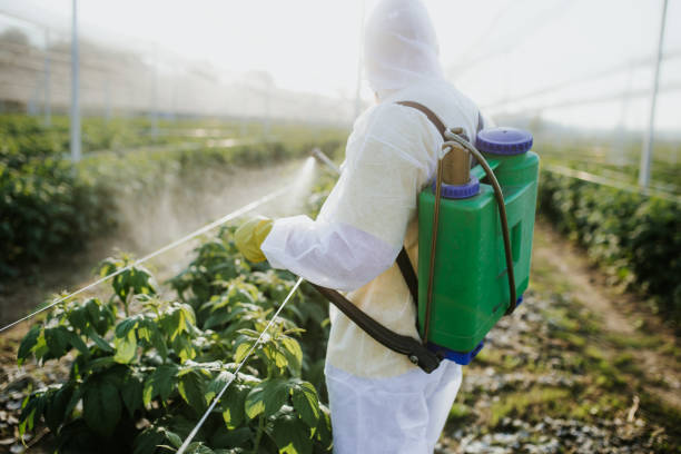Best Flea Control Services  in Garfield Heights, OH